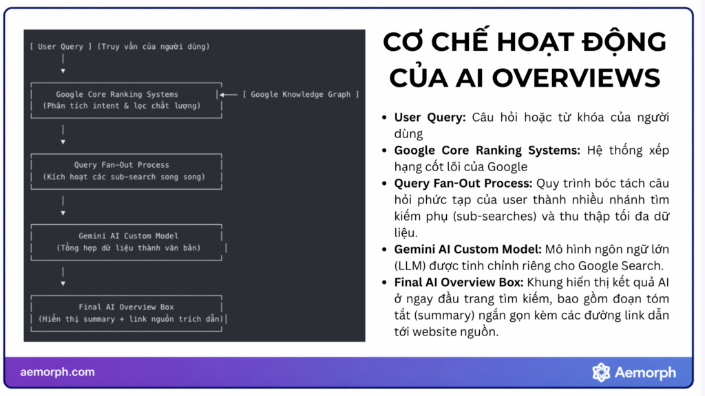 cơ chế hoạt động của ai overviews