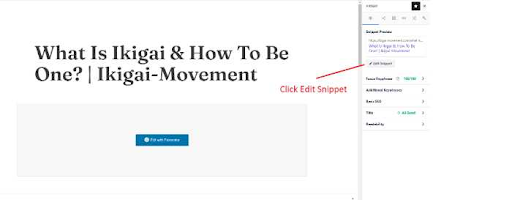 pointing where to edit the website snippet