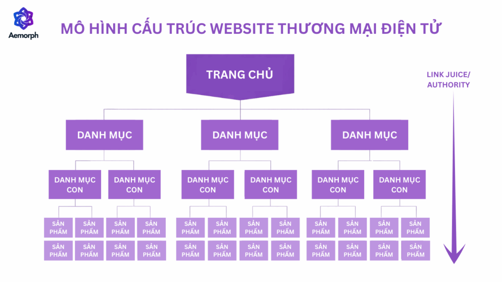 mô hình cấu trúc website thương mại điện tử
