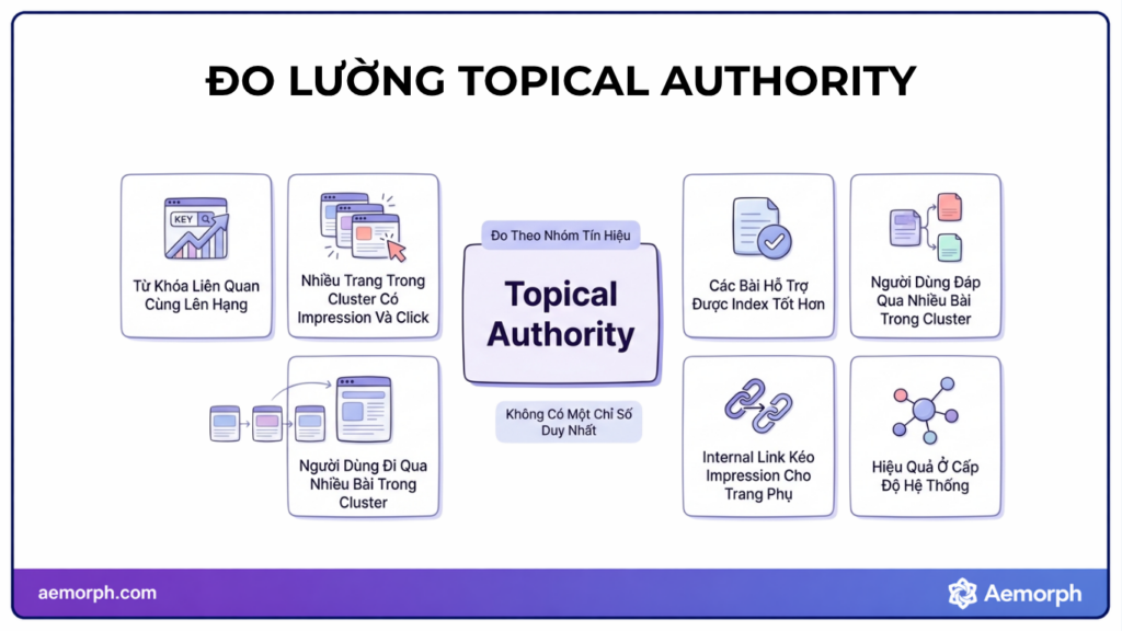 cách đo lường topical authority
