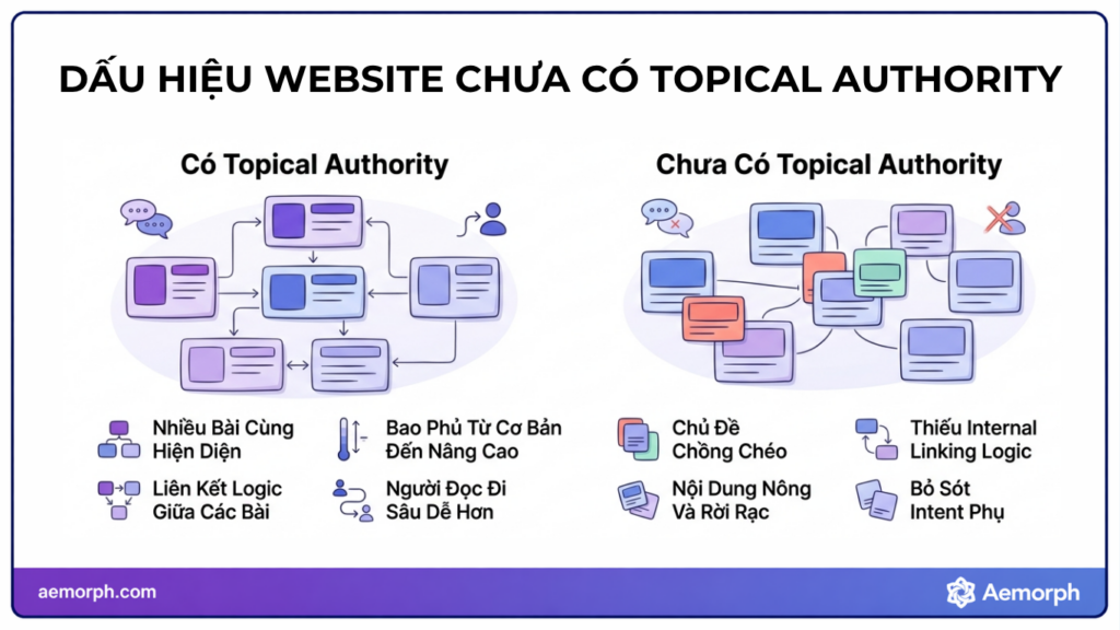 dấu hiệu website đang có hoặc chưa có topical authority