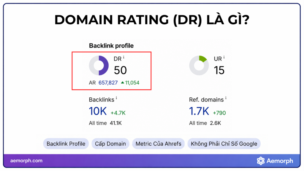 domain rating là gì