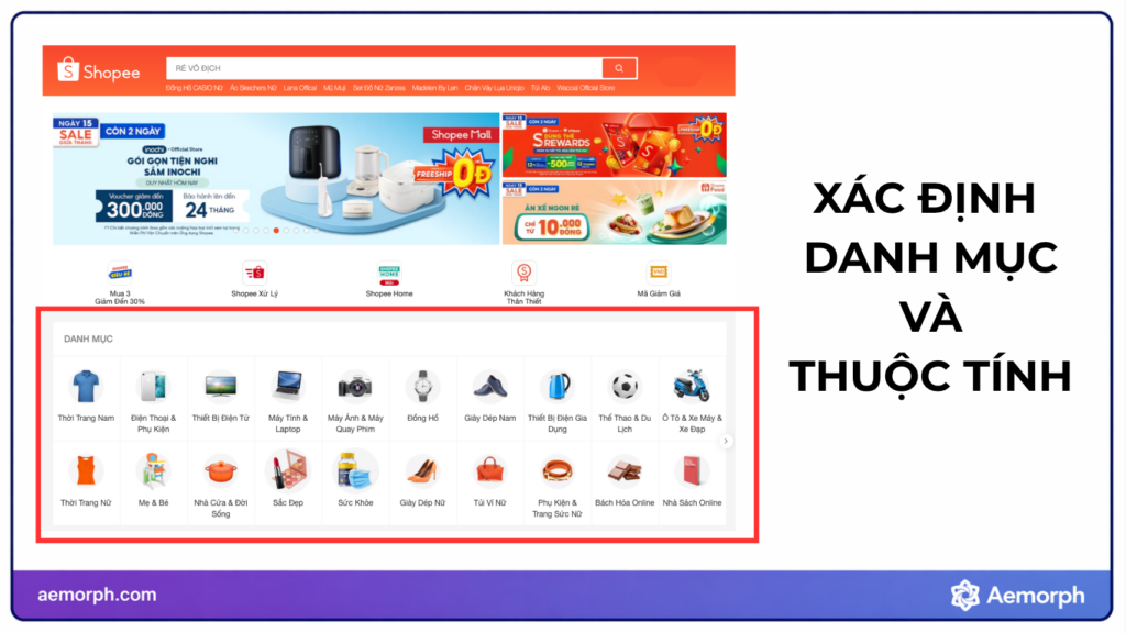 xác định danh mục và thuộc tính