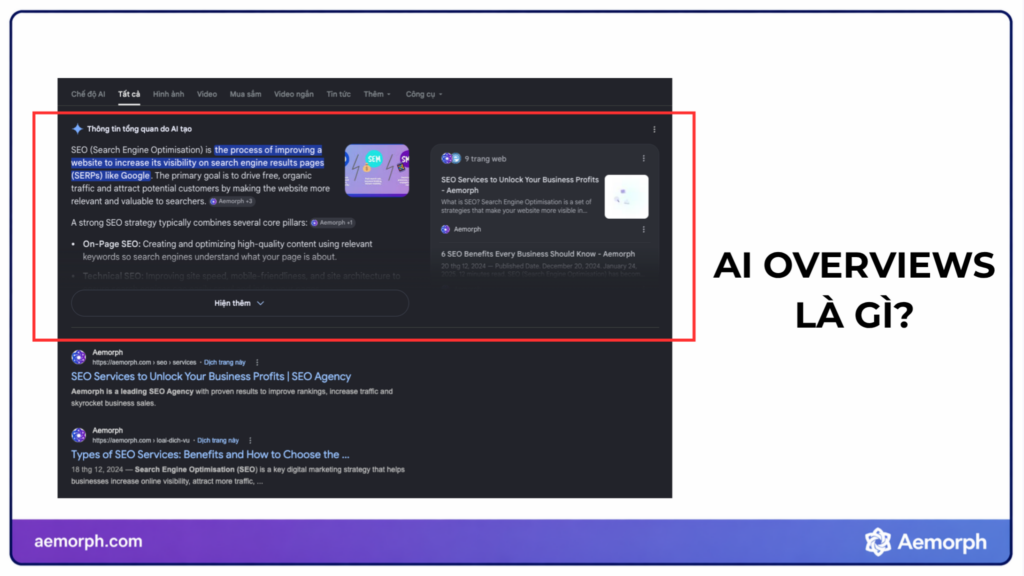 ai overview là gì
