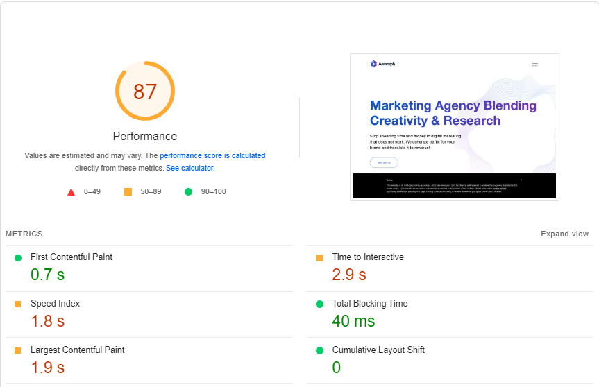 Website’s performance dashboard showing performance score and metrics