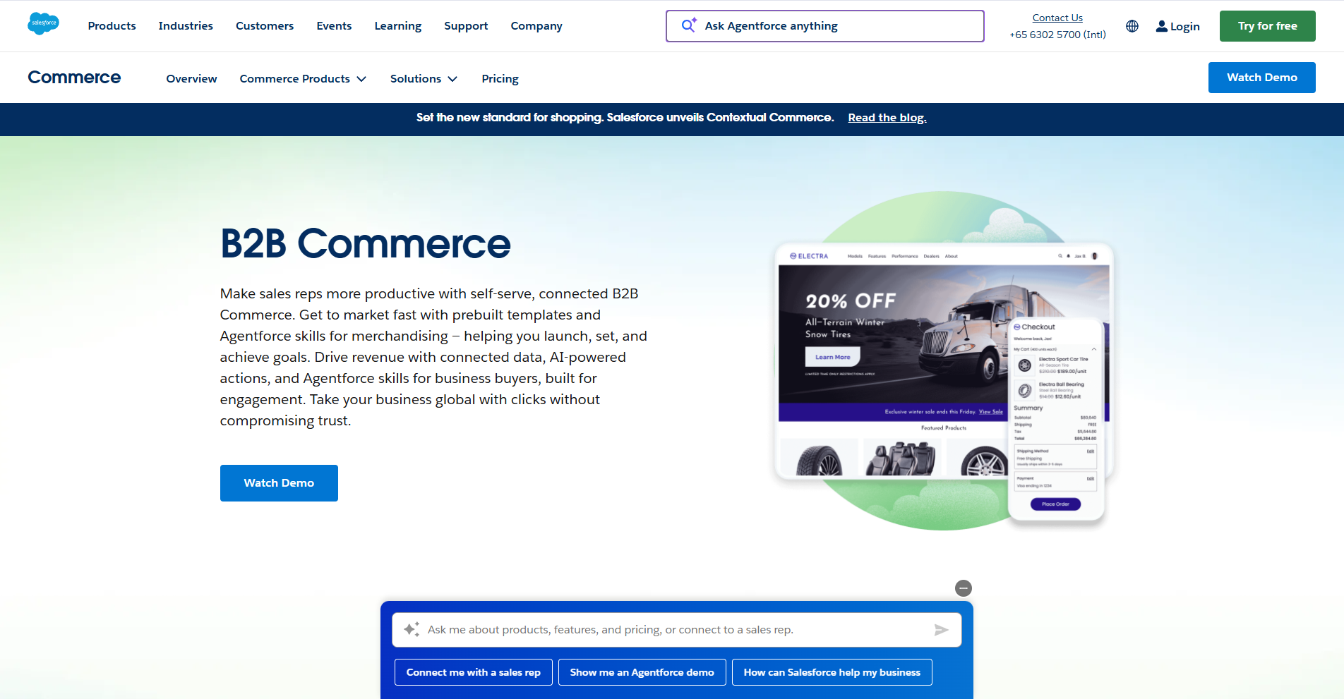 Salesforce B2B Ecommerce Platform homepage